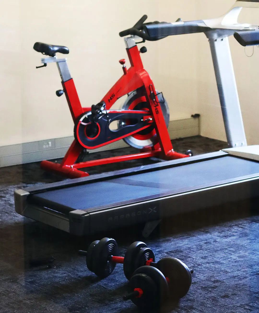 Treadmill in the gym
