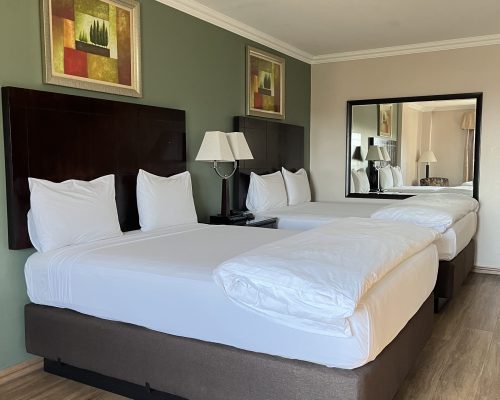 Hampshire hotel 2 Queen beds with white linen sheets and covers with 2 lights of pedestals